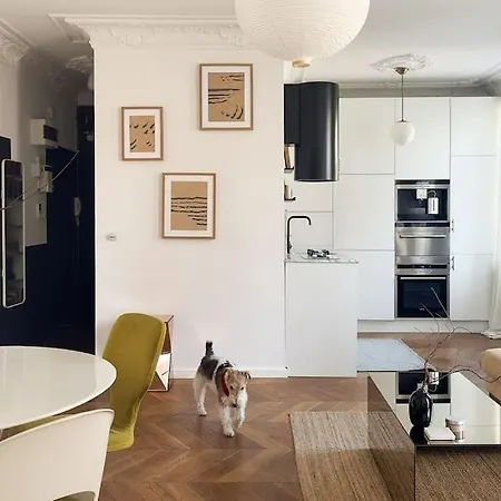 Apartment Mid-century, Artistic Apartment, National Stadium